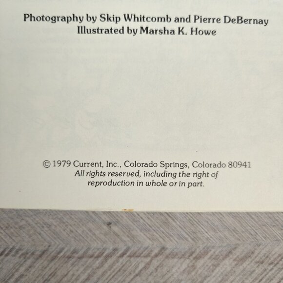 Miriam B. Loo Holiday Cookbook Spiral Bound 1979 Recipes Christmas Baking - Picture 8 of 9